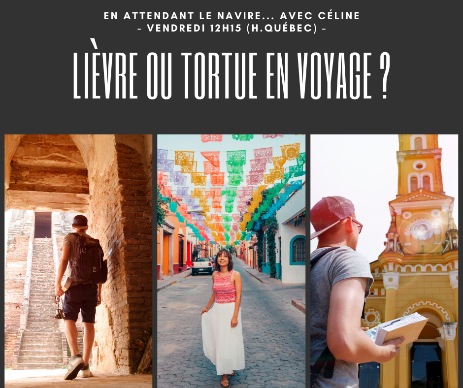 Lièvre ou tortue en voyage